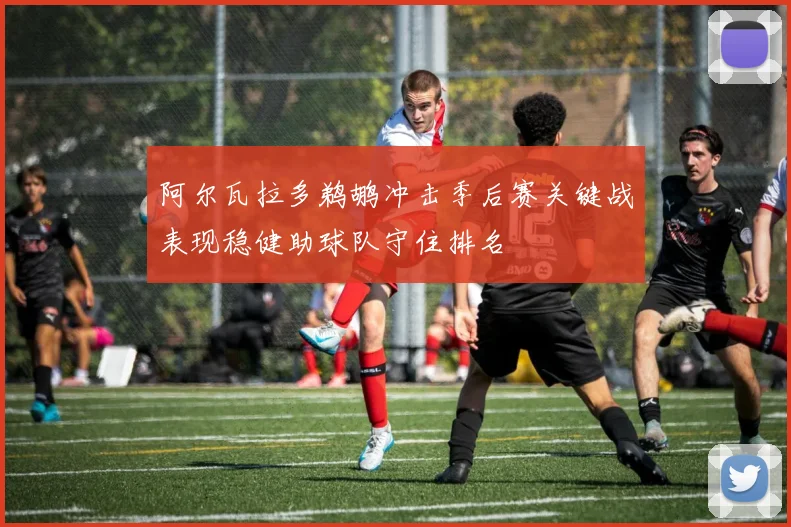 阿尔瓦拉多鹈鹕冲击季后赛关键战表现稳健助球队守住排名