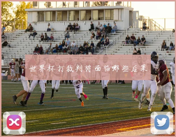 世界杯打裁判将面临哪些后果