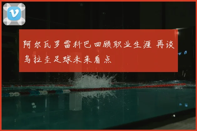 阿尔瓦罗雷科巴回顾职业生涯 再谈乌拉圭足球未来看点