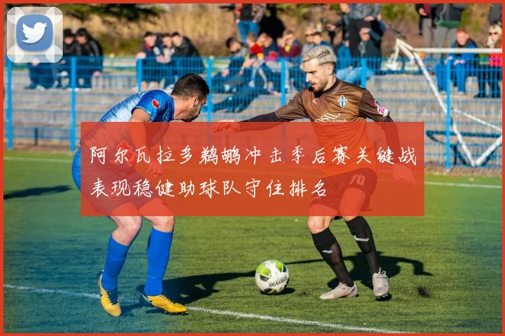 阿尔瓦拉多鹈鹕冲击季后赛关键战表现稳健助球队守住排名