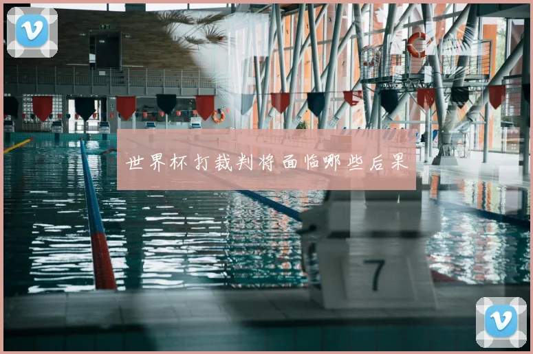 世界杯打裁判将面临哪些后果